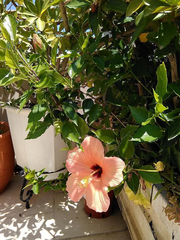 Nikita Traditional House Chrissi Akti Chania Quarto foto